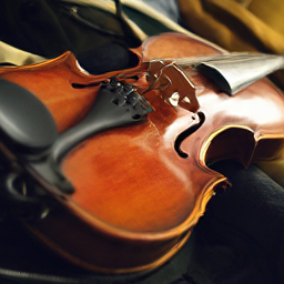 CorrFlow generated image of violin