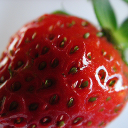 CorrFlow generated image of strawberry